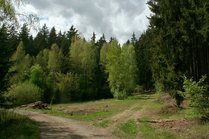 img00009.jpg