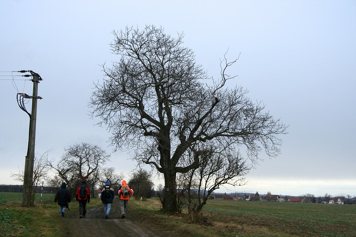 img00001.jpg