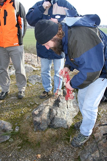 img00005.jpg