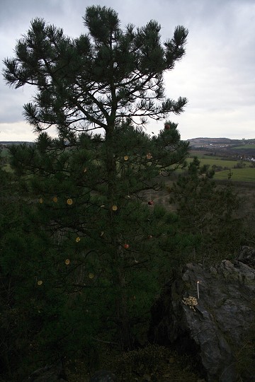 img00015.jpg