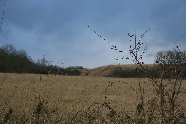 img00021.jpg
