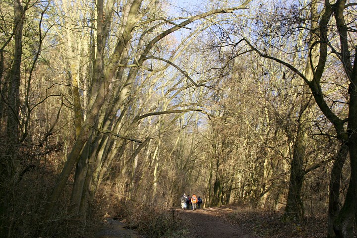 img00023.jpg