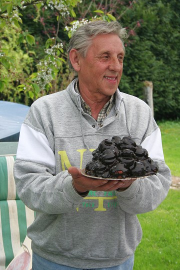 img00008.jpg